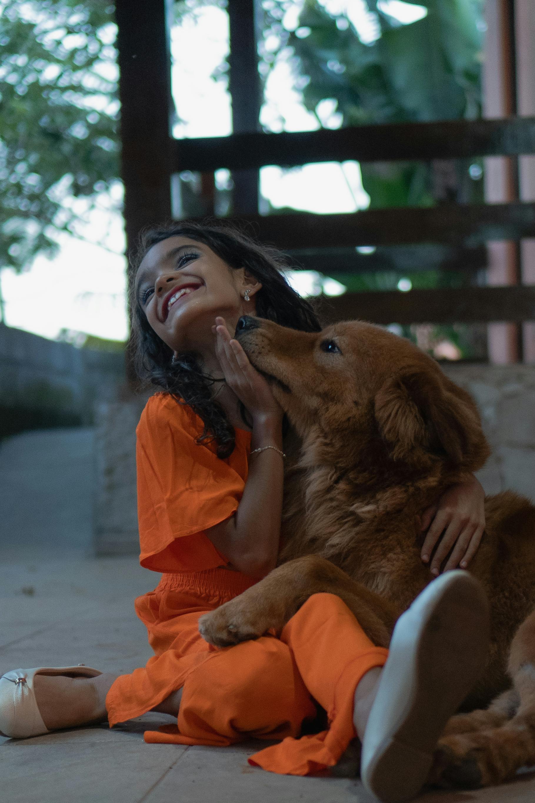 正在热播榜海报：狼群来信